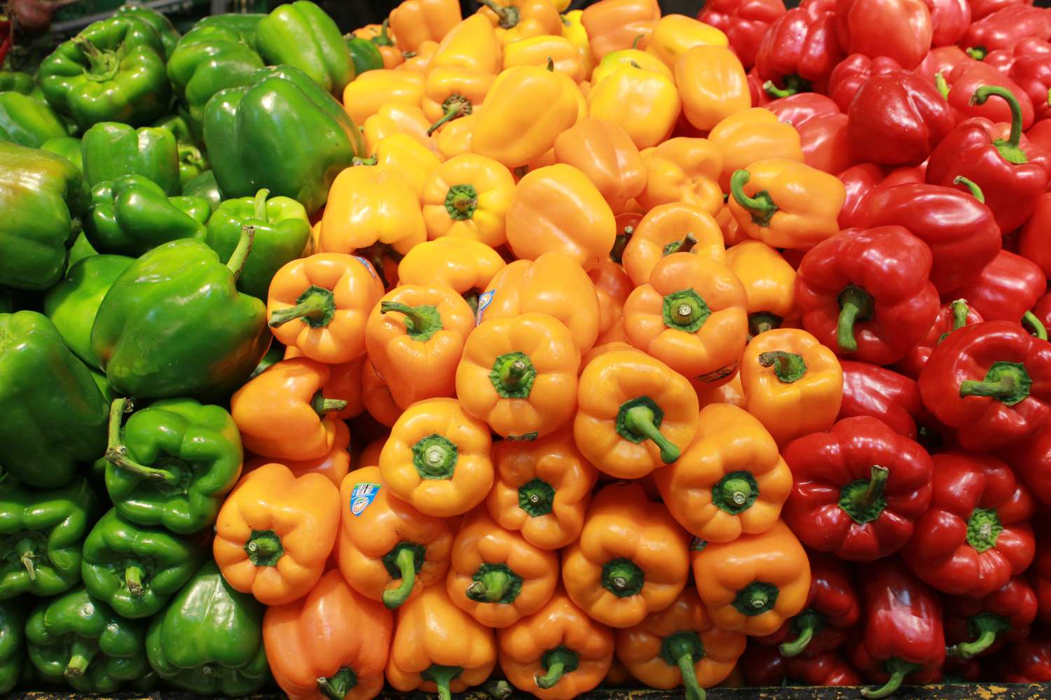 Best Capsicum Variety in Kenya