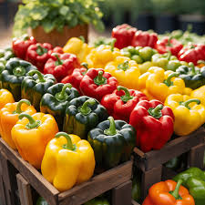 Profits in Capsicum Farming in Kenya