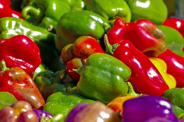 The Right Capsicum Variety for Kenyan Farmers