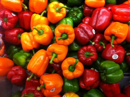 Best Capsicum Variety in Kenya